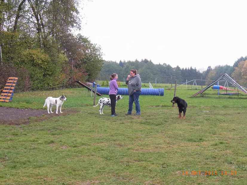 Barnie, Fleckerl, Karin, Claudia und Azat.jpg (827 x 620)